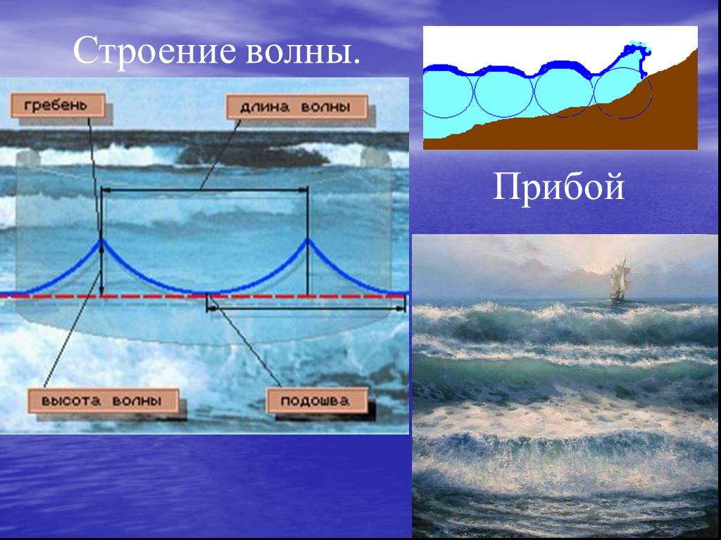 Гребень волны подошва волны. Движение воды в океане волны. Структура волны. Схема волны. Схема волны в океане.