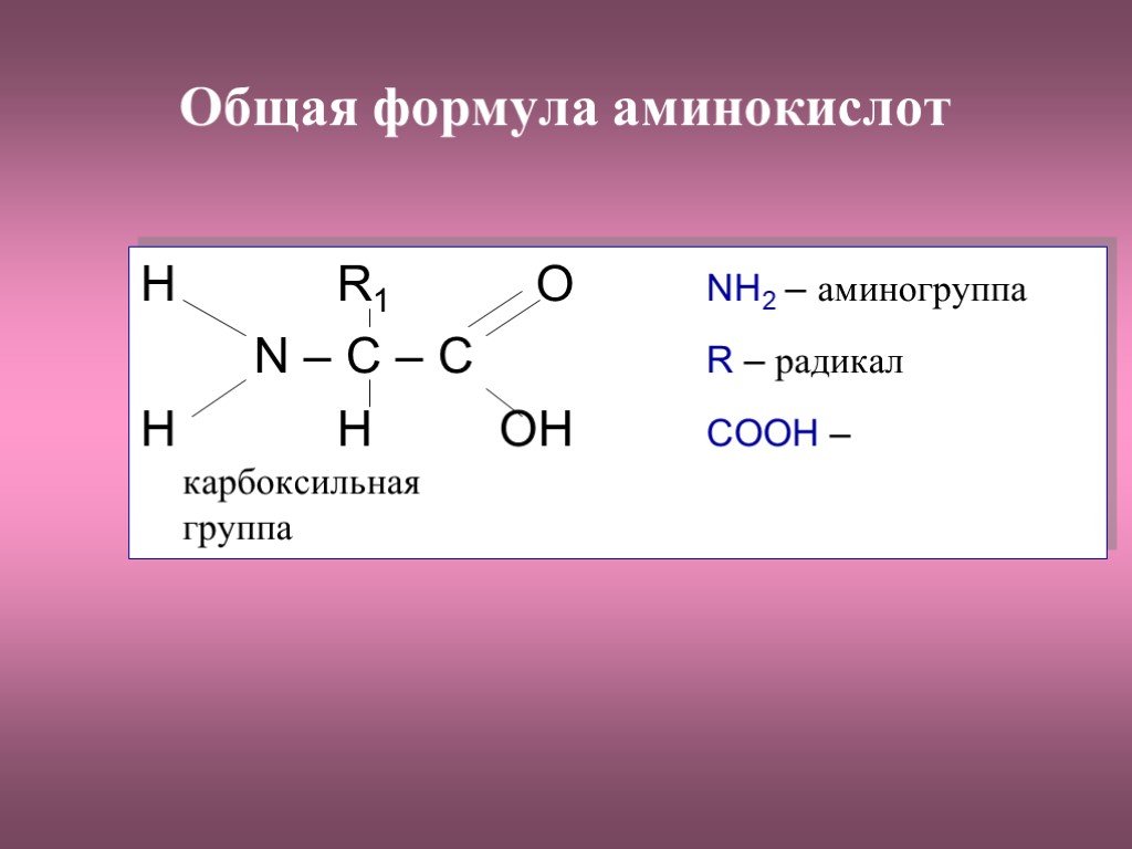 Аминокислоты аминогруппа карбоксильная группа. Общая формула аминокислот. Аминокислоты формулы. Аминогруппа и карбоксильная группа. Аминогруппа радикал карбоксильная группа.