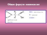 Общая формула аминокислот. H R1 O NH2 – аминогруппа N – C – C R – радикал H H OH COOH – карбоксильная группа