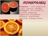 ПОМЕРАНЕЦ. Померанец — плод цитрусовых (лимон, апельсин, мандарин, грейпфрут). Он состоит из плотного кожистого окрашенного внеплодника, губчатого межплодника, кожистого внутриплодника
