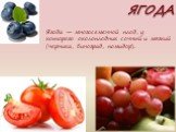 ЯГОДА. Ягода — многосеменной плод, у которого околоплодник сочный и мягкий (черника, виноград, помидор).
