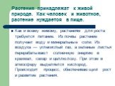 Растения принадлежат к живой природе. Как человек и животное, растение нуждается в пище. Как и всему живому, растениям для роста требуется питание. Из почвы растение получает воду и минеральные соли. Из воздуха — углекислый газ, а зеленые листья перерабатывают солнечную энергию в крахмал, сахар и це