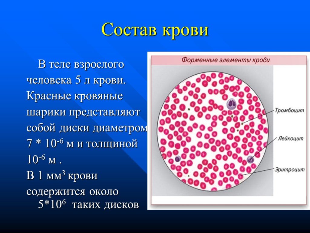 Лейкоциты в 1 мм3 крови. Состав крови. Состав крови человека. Строение крови. Структура крови человека.