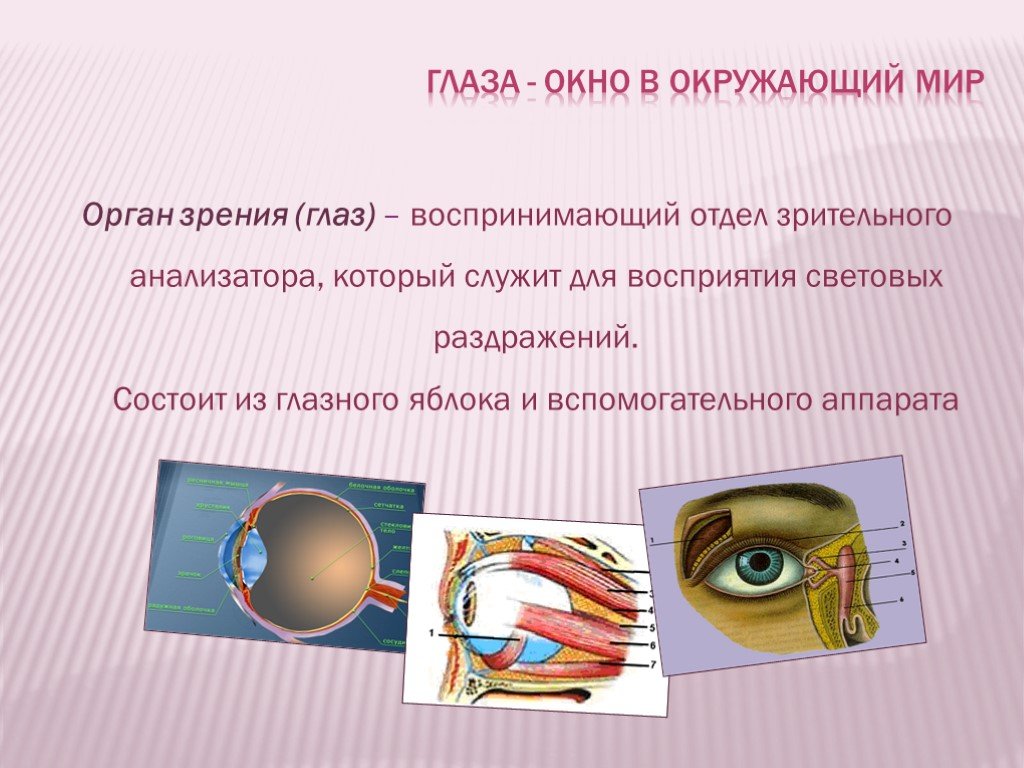 Тест по теме органы зрения. Глаза орган зрения 3 класс окружающий мир. Презентация на тему глаз. Доклад на тему глаз. Презентация на тему зрение.