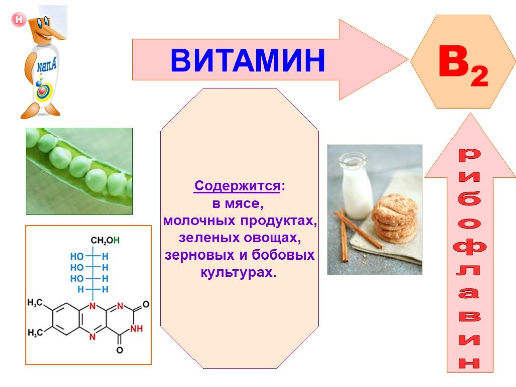 Презентация на тему витамин b. Прицентация по биологи на витомин в. Витамины которые не содержатся в бобовых культурах. Контрольная работа по биологии витамины