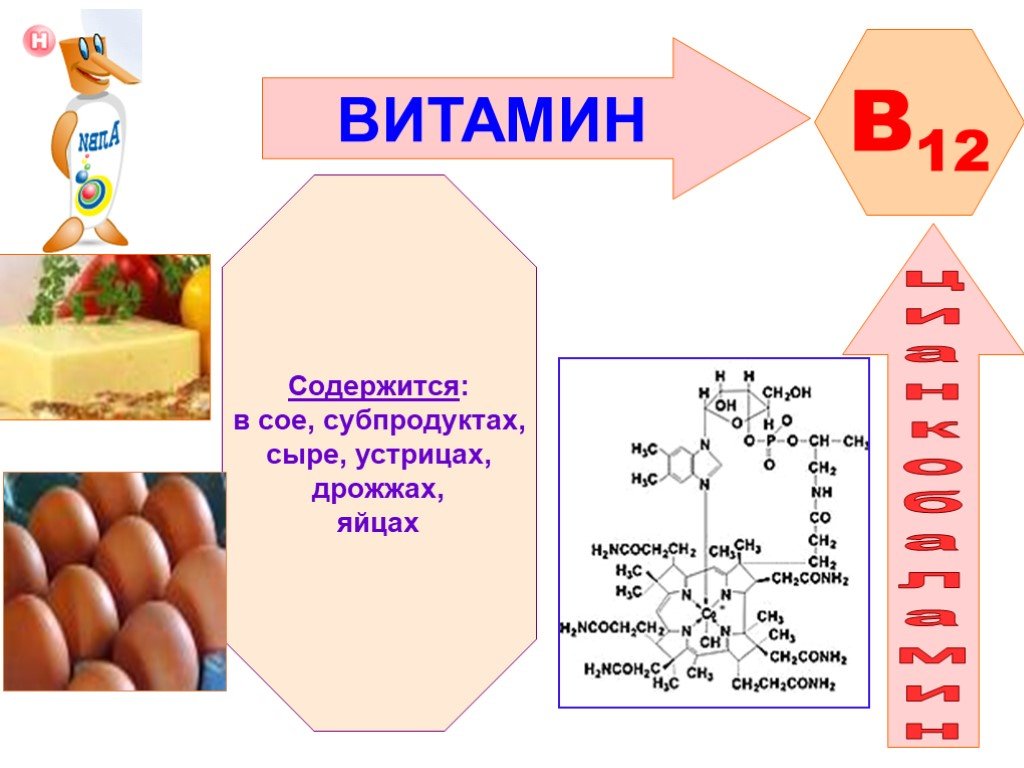 А 11 b 12 c 9. Витамины презентация. Витамин в11. Витамины биология 11 класс. Какие витамины в устрицах.