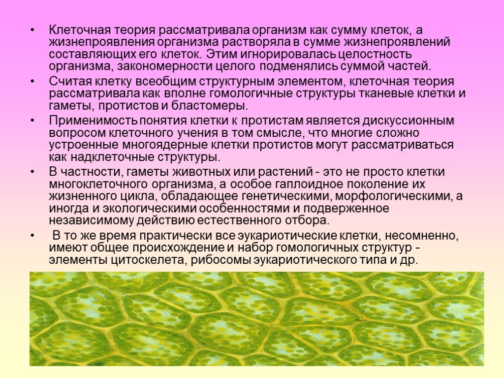 Методы клеточной теории. Клеточная теория организмов. Клеточная теория строения организмов. Клеточная теория презентация. Клетка клеточная теория.