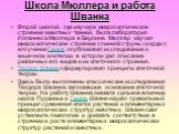 Школа Мюллера и работа Шванна. Второй школой, где изучали микроскопическое строение животных тканей, была лаборатория Иоганнеса Мюллера в Берлине. Мюллер изучал микроскопическое строение спинной струны (хорды); его ученик Генле опубликовал исследование о кишечном эпителии, в котором дал описание раз