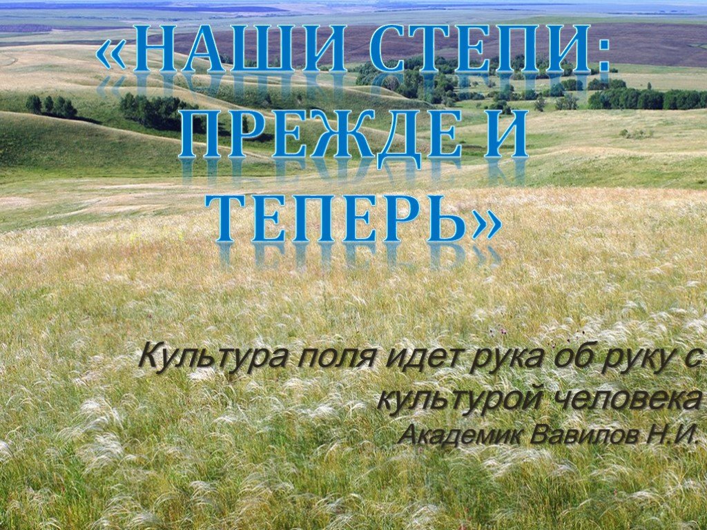 Презентация степи. Наши степи прежде и теперь. Проект по географии 5 класс степи. Культурное поле это. Фото наши степи прежде и теперь.