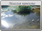 Миссия проекта: Сделать реку Акишевку объектом постоянной работы, приобщить обучающихся к лучшим традициям экологического движения