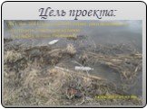 Цель проекта: До 1 мая 2011 года очистить берега реки Акишевки и обустроить 3 места для купания и отдыха у хутора Реченского
