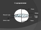 Сфера Центр шара Полюс Большой круг Радиус шара