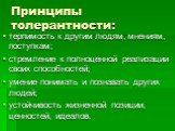 Принципы толерантности: терпимость к другим людям, мнениям, поступкам; стремление к полноценной реализации своих способностей; умение понимать и познавать других людей; устойчивость жизненной позиции, ценностей, идеалов.