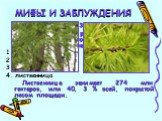 23 Какое дерево самое распространенное на территории бывшего Советского Союза и нынешнего СНГ: 1. сосна 2. береза 3. ель 4. лиственница Лиственница занимает 274 млн гектаров, или 40, 3 % всей, покрытой лесом площади.