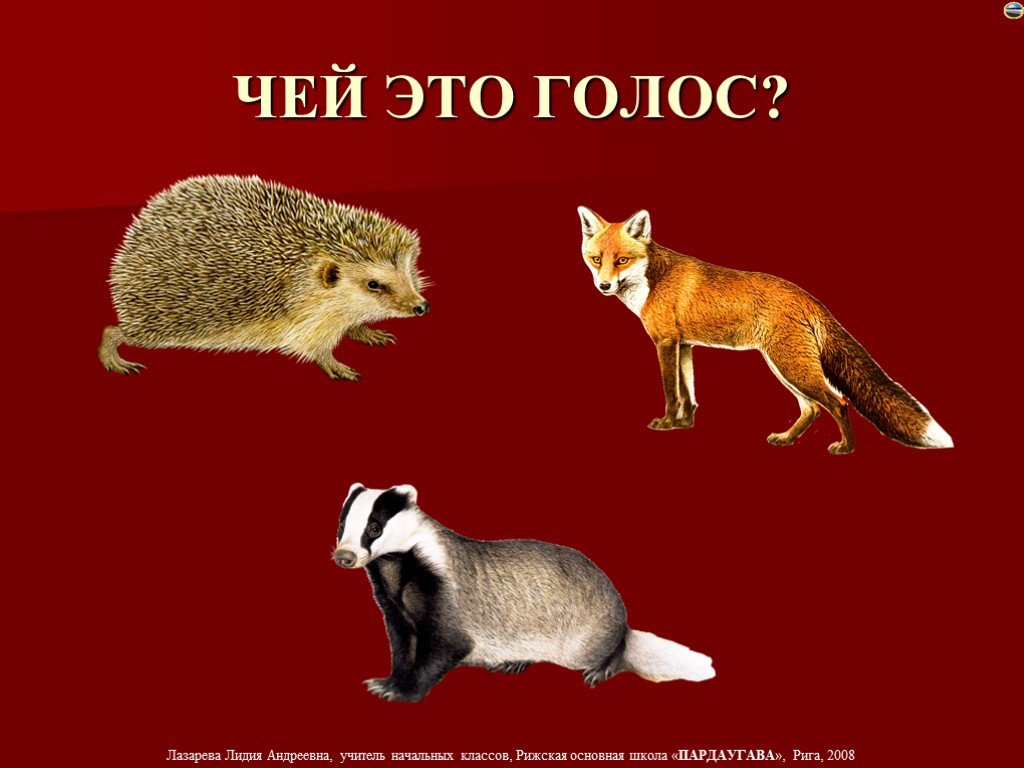 Чей это голос. Чьи это голоса?. Чей голос животного. Чей голос Европы. Чей голос лучше.