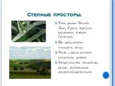 Степные просторы. Есть реки: Волга, Дон, Урал, Аргунь, родники, озёра, болотца. Не забывайте очищать воду. Рано утром можно напиться росой. Встречаются водоёмы реже, запасаться водой обязательно.