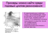 Примеры можно найти среди годовых циклов размножения: Распределение сезонов размножения у птиц в зависимости от широты местности. В экваториальных районах птицы, высиживающие яйца, встречаются на протяжении всего года, независимо от сезона. А в северном и южном полушариях в широтах выше 30º размноже