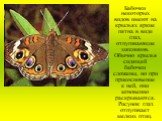 Бабочки некоторых видов имеют на крыльях яркие пятна в виде глаз, отпугивающие хищников. Обычно крылья сидящей бабочки сложены, но при прикосновение к ней, они мгновенно раскрываются. Рисунок глаз отпугивает мелких птиц.