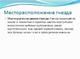 Месторасположение гнезда. Месторасположение гнезда: Гнездо помещает на земле в тенистых и скрытых местах под густыми нависшими ветвями кустарников, среди выступающих над землей корней ивняка, иногда под пучком осоки или в кучах речных наносов.