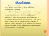 Издавна в народной медицине всех стран для лечения самых разных заболеваний с успехом принимают лекарственные растения. «Противорадиационная фитотерапия» - это, прежде всего многовековый опыт народной медицины, которая до сих пор не сталкивалась с массовым радиационным поражением людей. Ведь открыти