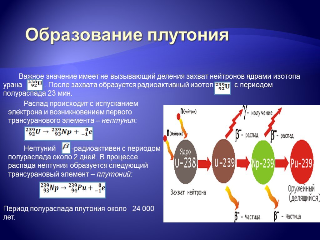Реакция распада плутония. Распад плутония 239 схема. Деление ядер плутония. Образование плутония из урана. Плутоний-239 период полураспада.