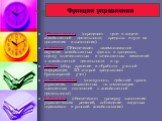 Функции управления. 1.Планирования (определяет цели и задачи хозяйственной деятельности, средства и пути их достижения и выполнения). 2. Анализ (Обеспечивает взаимосвязанное изучение хозяйственных фактов и процессов, оценку количественных и качественных изменений в хозяйственной деятельности и др. 3