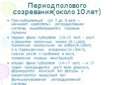 Период полового созревания(около 10 лет). Пре-пубертатный (от 7 до 9 лет) – начинает «работать» репродуктивная система, вырабатываются половые гормоны первая фаза пубертата (10-13 лет) - рост и развитие молочных желез (8-11лет), появление оволосения на лобке(9-12лет) и в подмышечных впадинах(10-13ле