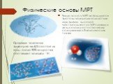 Физические основы МРТ. Чаще всего в МРТ используются протоны водорода вследствие двух причин: высокой чувствительности к МР-сигналу и их высокому естественному содержанию в биологических тканях. Организм человека примерно на 4/5 состоит из воды, около 90% вещества составляет водород - 1Н