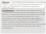 Акантоз – пролиферации базальных и шиповатых клеток, приводит к утолщению эпителиального слоя, что выражается в появлении узелков и лихенизации. Паракератоз – нарушение ороговения клеток с появлением пятна лихенизации, вегетации, узлов и узелков. Микроскопически отмечается частичное или полное исчез