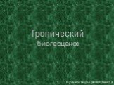 Тропический биогеоценоз. Подготовили: Сандула А. ;Минин М. ;Маевский Л.