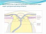 Венозный отток от диска зрительного нерва происходит через центральную вену сетчатки.