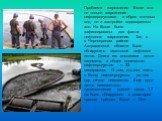 Проблема загрязнения Волги это не только загрязнения нефтепродуктами и сброс сточных вод, но и застройки водоохранных зон. На Волге было зафиксированы два факта нефтяного загрязнения. Так, в в Черноярском районе Астраханской области было обнаружено гигантское нефтяное пятно. Длина его составила почт
