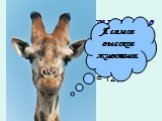 Жираф самое высокое животное в мире. Жираф носит голову и нос на высоте … метров. 2,8 + х + 3,7 = 12,5. Я самое высокое животное.