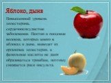 Яблоко, дыня. Повышенный уровень холестерина, сердечнососудистые заболевания. Пектин и пищевые волокна, которых много в яблоках и дыне, выводят из организма холестерин, а фенольные кислоты не дают образоваться тромбам, поэтому снижается риск инсульта.