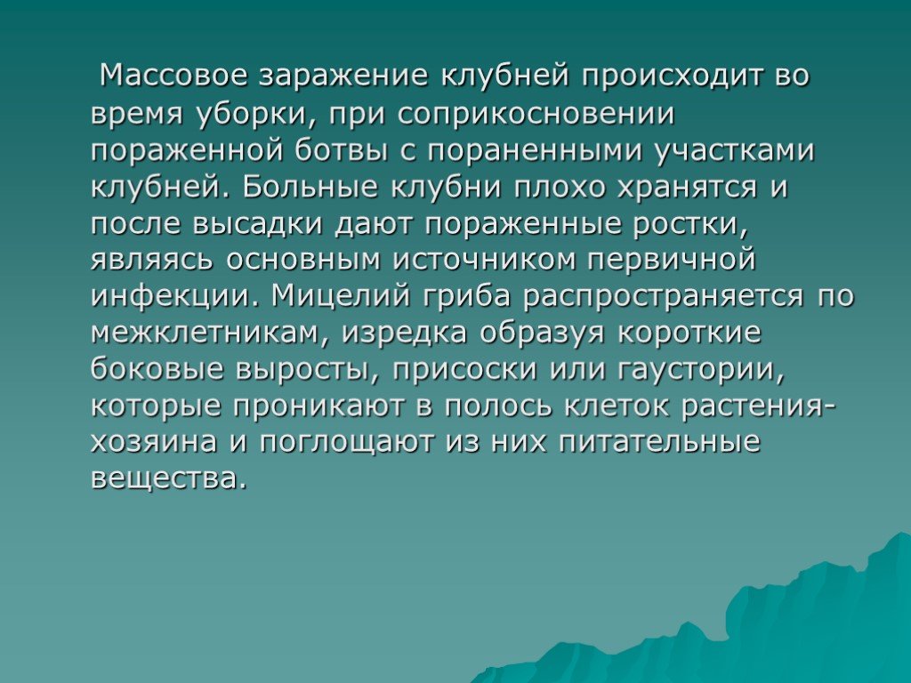 Глобальное потепление причины последствия пути решения