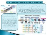 Система очистки воздуха NEO-Plasma Plus. Разработанная LG Electronics уникальная система очистки воздуха Neo Plasma оснащенная 12 ступенями био-энзимных фильтров, имеет большую стерилизационную способность. Проходя через каждую ступень фильтра, воздух очищается от мелких частиц пыли и бытовых грибко