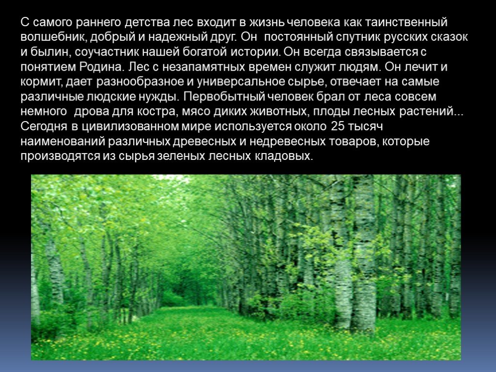 Какой лес самый богатый. Презентация на тему лес. Сообщение о лесе. Лес для презентации. Леса России презентация.