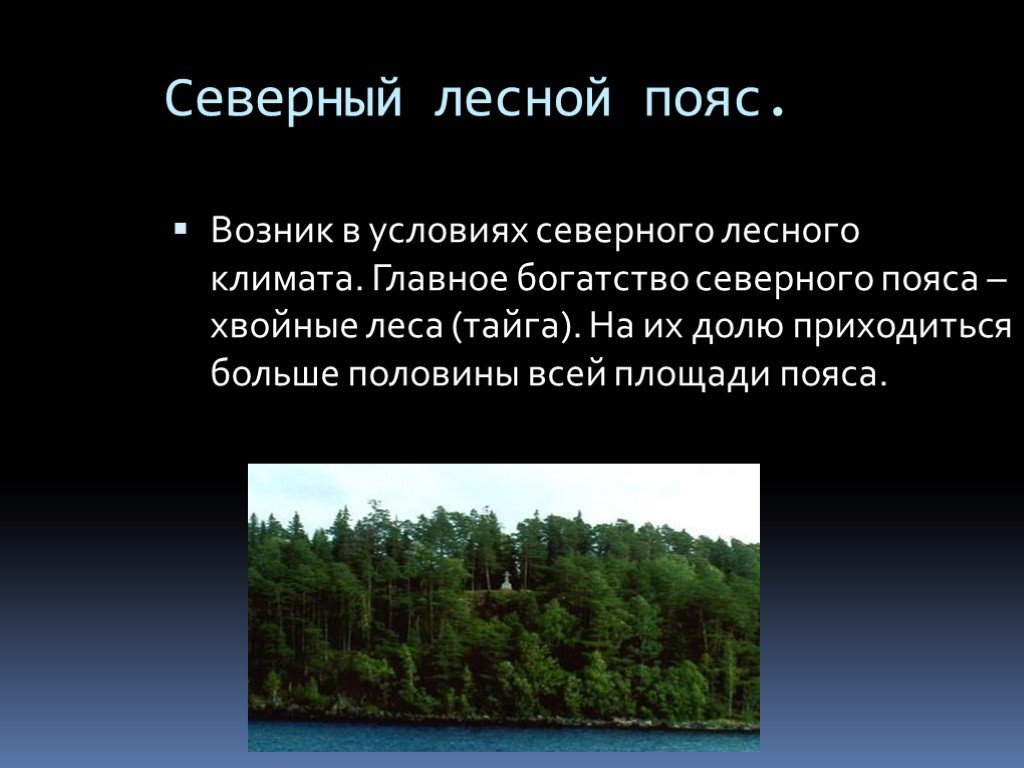 Северный Лесной пояс. Лесные климатические проекты. Северный Лесной пояс возник. Главнейшее богатство тайги древесина.
