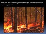 Кроме того, лесные массивы в огромных масштабах уничтожаются пожарами, после которых экологический баланс окружающей среды восстанавливается несколько десятилетий.