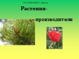 Растения- производители. ГОУ СОШ № 2011, г.Москва