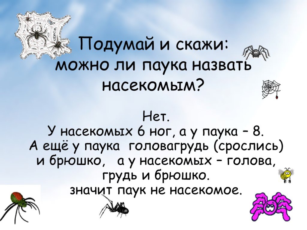 Почему паук. Различие насекомого и паука. Отличие насикомыхтот пауков. Разница насекомых и пауков. Отлиуее пауков и насекомых.