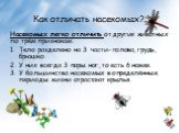 Как отличать насекомых? Насекомых легко отличить от других животных по трём признакам: Тело разделено на 3 части- голова, грудь, брюшко. У них всегда 3 пары ног, то есть 6 ножек. У большинства насекомых в определённые периоды жизни отрастают крылья.