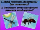 1. Какие признаки характерны для насекомых? 2. От какого слова произошло название этой группы?