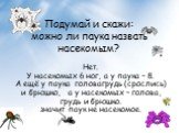 Подумай и скажи: можно ли паука назвать насекомым? Нет. У насекомых 6 ног, а у паука – 8. А ещё у паука головагрудь (срослись) и брюшко, а у насекомых – голова, грудь и брюшко. значит паук не насекомое.