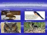 Определите к какой экологической группе по месту обитания относятся птицы? Воробей Ласточка Сова Ворона