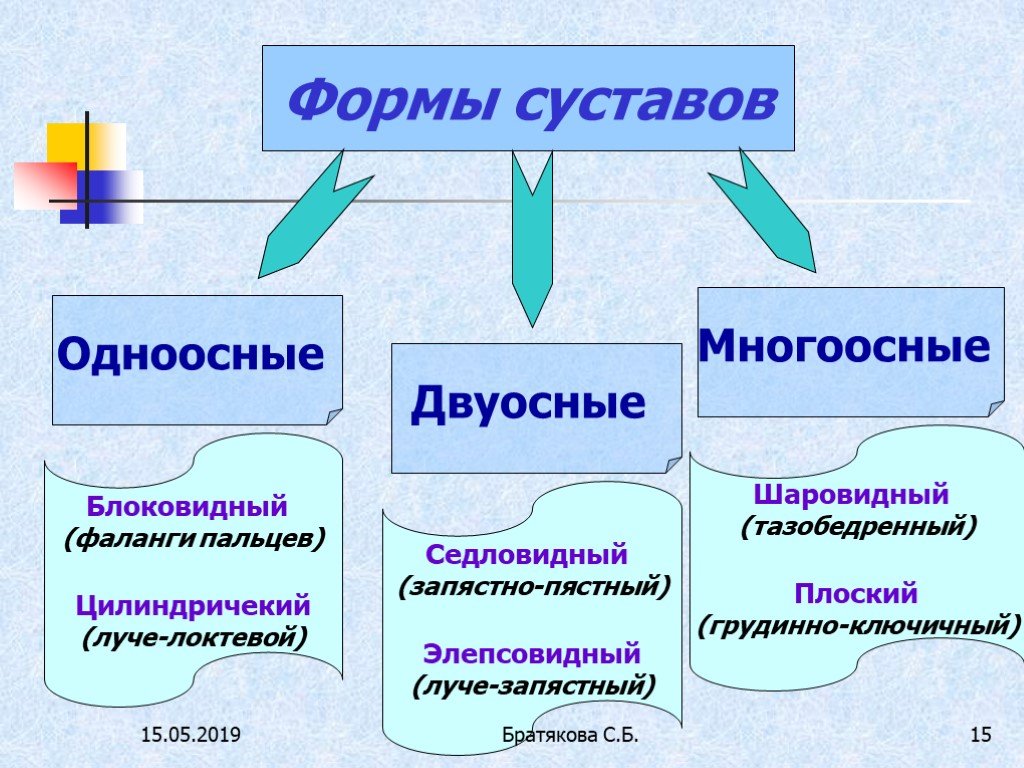 Форму оси. Одноосные двухосные и Многоосные суставы. Одноосные суставы. Одноосные суставы примеры. Суставы одноосные двухосные трехосные.