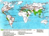 карта центров происхождения культурных растений