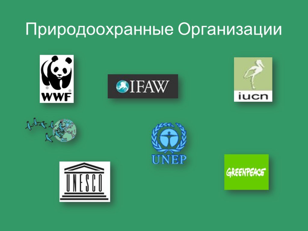 Международные природные организаций. Прироохранные организация. Международные экологические организации. Природоохранные организации. Названия экологических организаций.