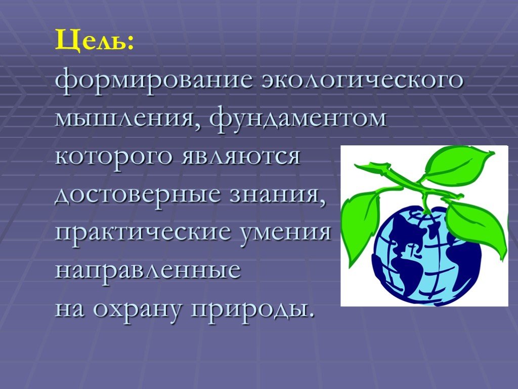 Экологическое мышление. Формирование экологического мышления. Экологическое мышление воспитания. Сформированность экологического мышления. Критерии формирования экологического мышления.