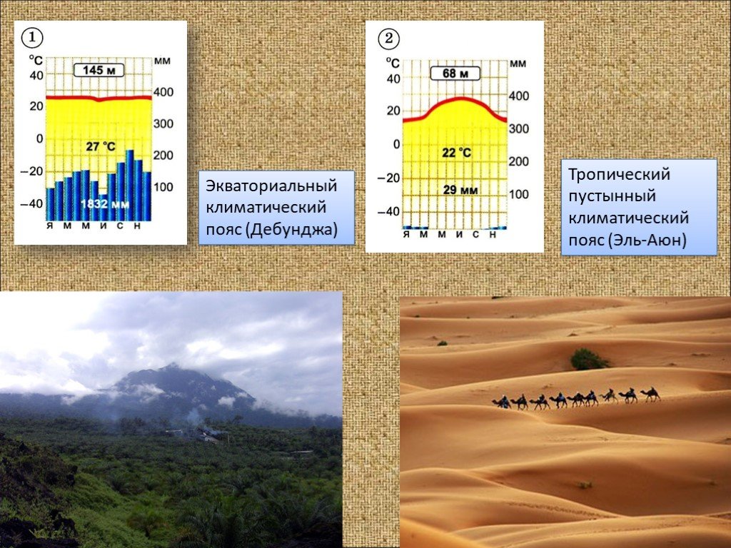 Тропический пояс климат. Дебунджа климатический пояс. Климатограмма тропического пояса. Климатограммы тропический. Тропический пустынный климатический пояс.